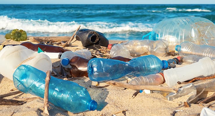 leere Plastikflaschen am Strand