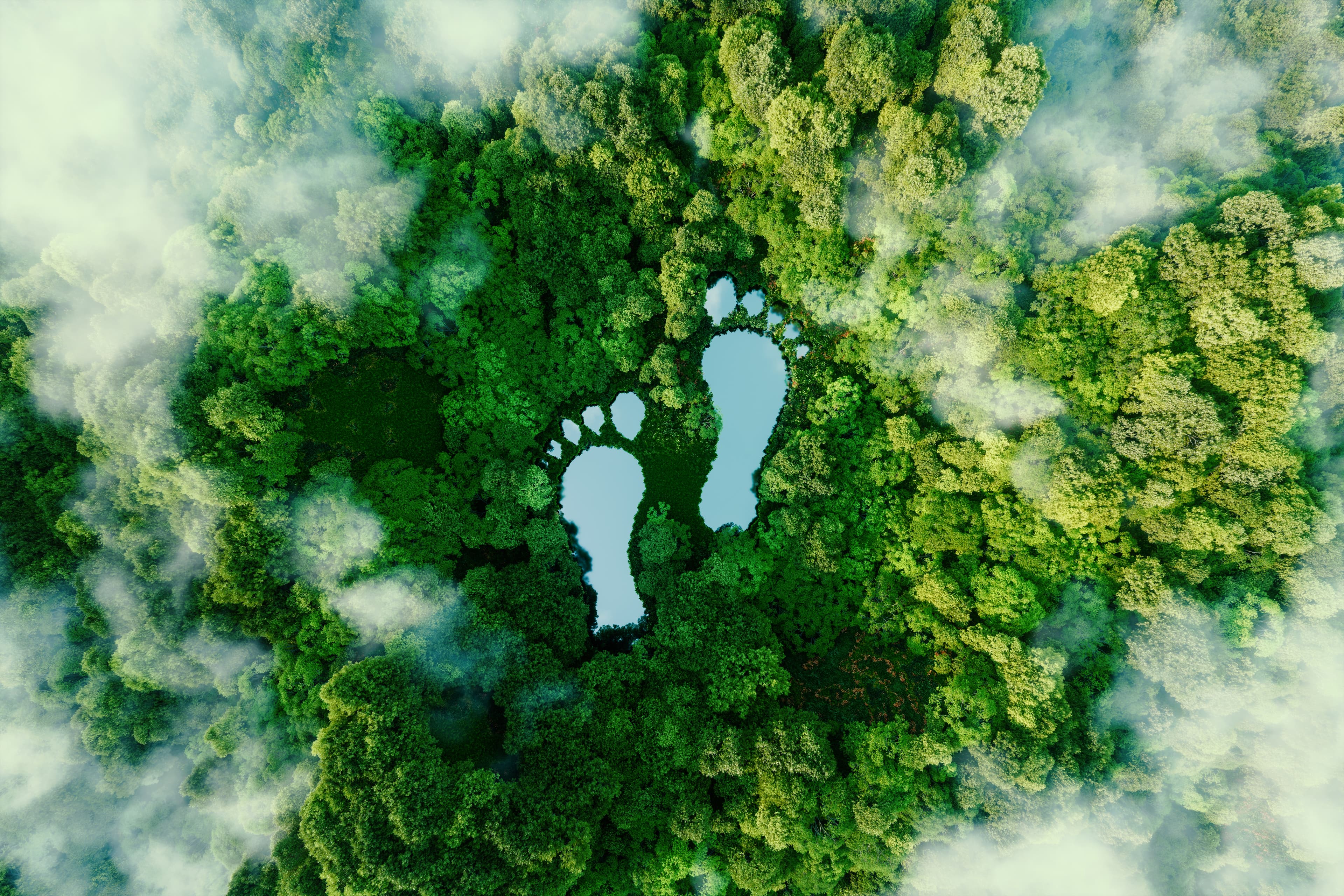 blue footprint on rainforest from bird's eye view