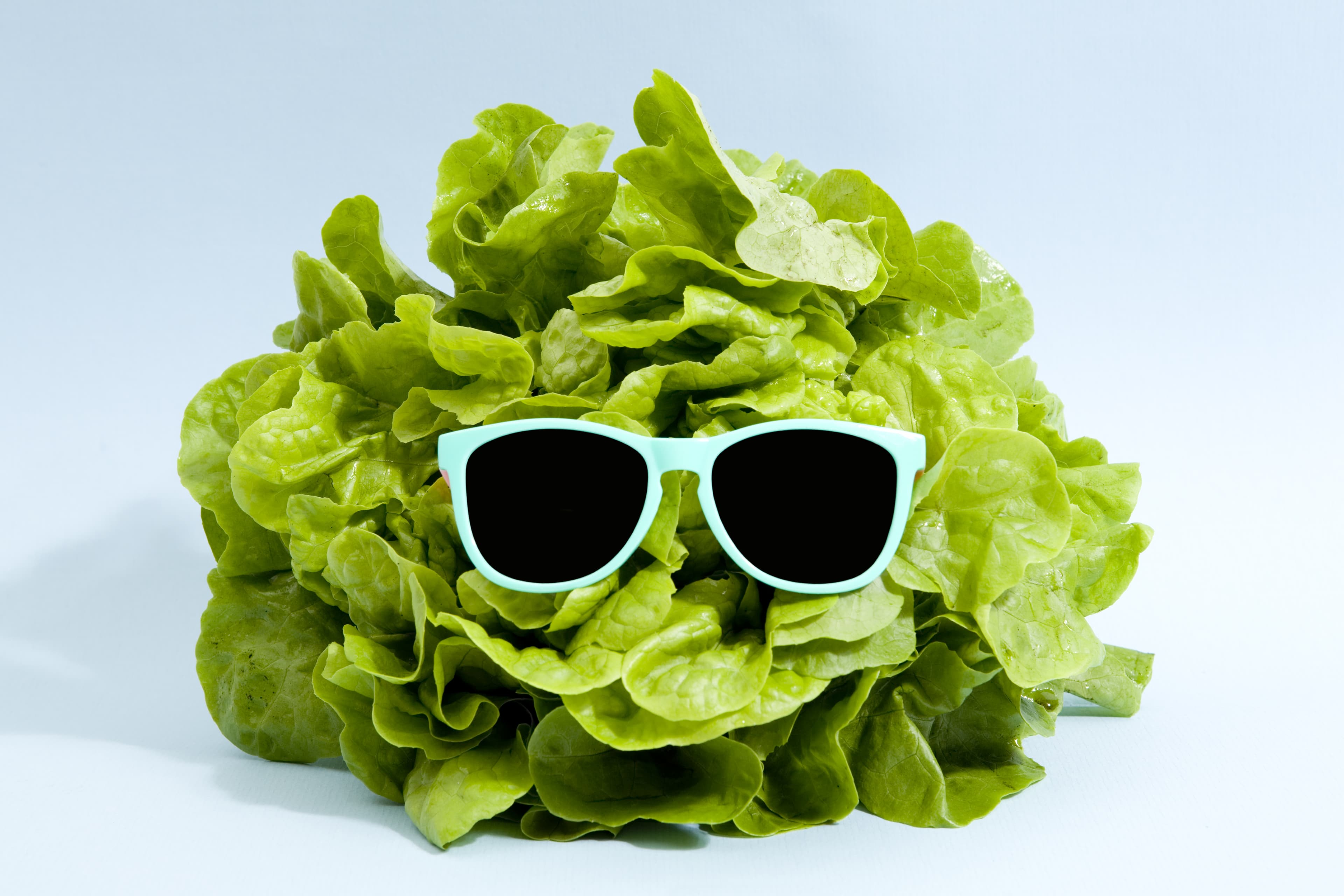 Lettuce with sunglasses